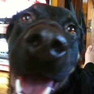 Meet your Posher, James